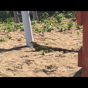 Meet your Posher, Sandra